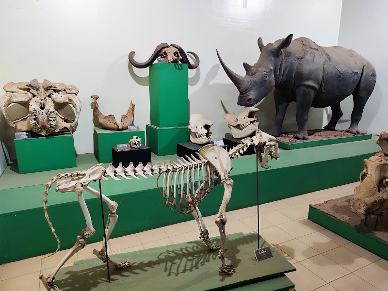 Photo 2 at Museum Hill in Nairobi