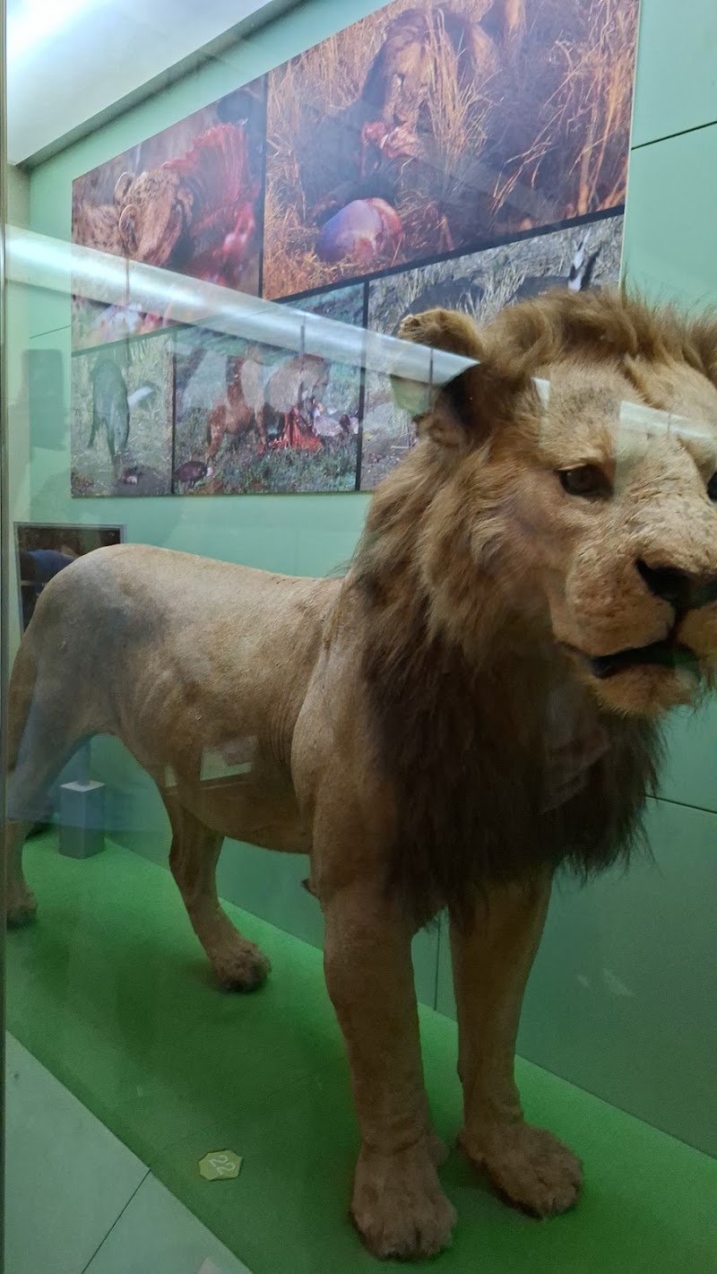 Photo 6 at Museum Hill in Nairobi