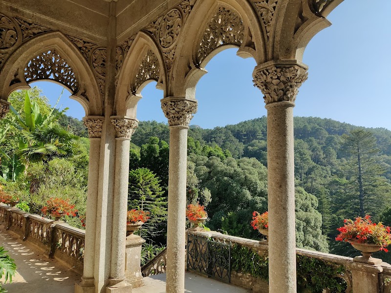 Photo 3 at Park and Palace of Monserrate in Sintra