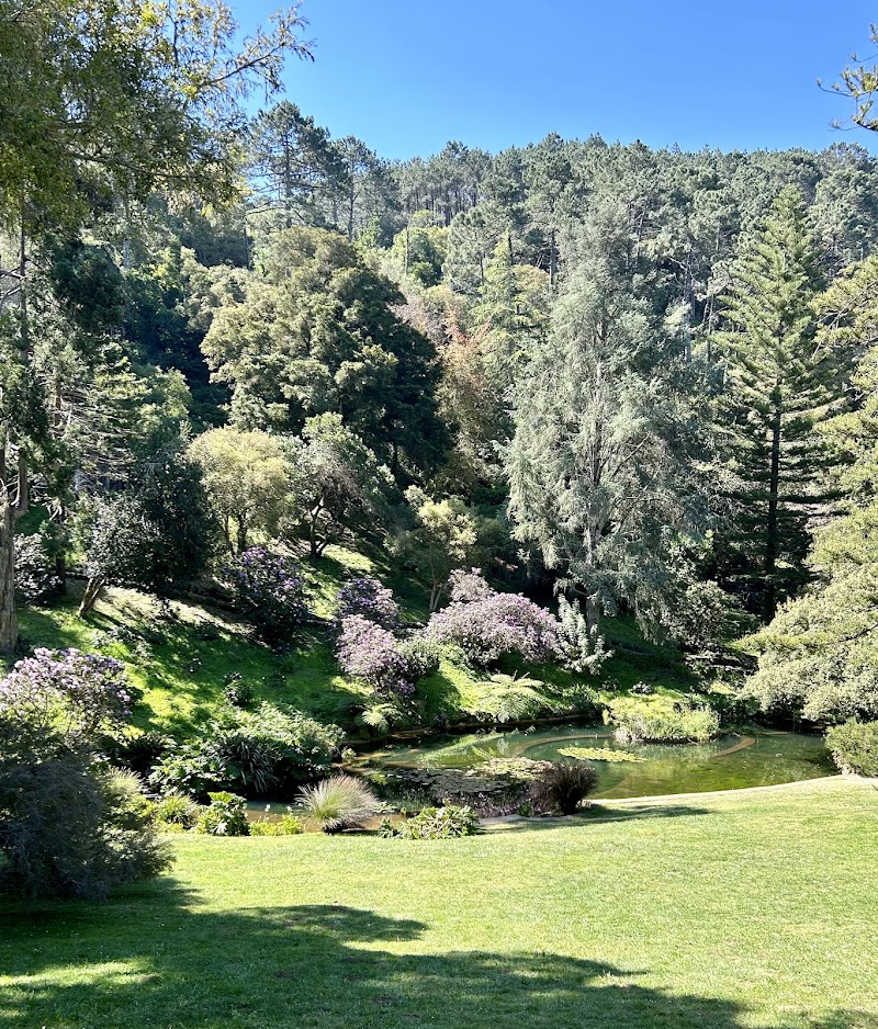 Photo 6 at Park and Palace of Monserrate in Sintra