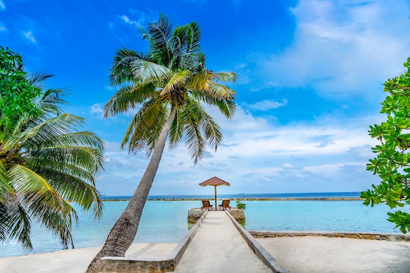 Photo 6 at Ellaidhoo Maldives by Cinnamon in 