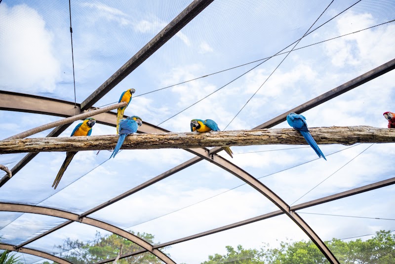 Graeme Hall Nature Sanctuary, Barbados in Bridgetown