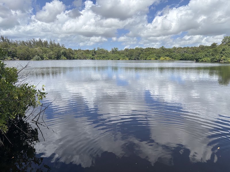 Photo 5 at Graeme Hall Nature Sanctuary, Barbados in Bridgetown