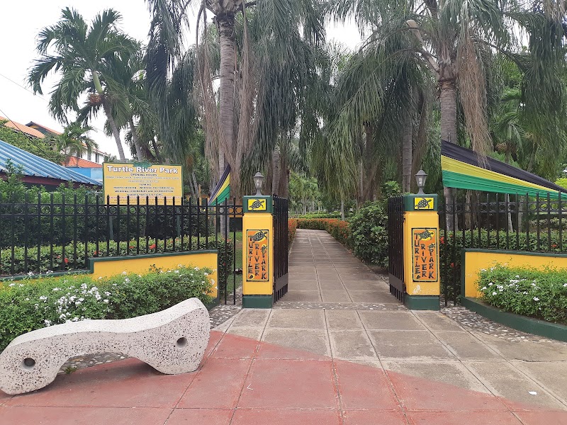 Turtle River Park in Ocho Rios