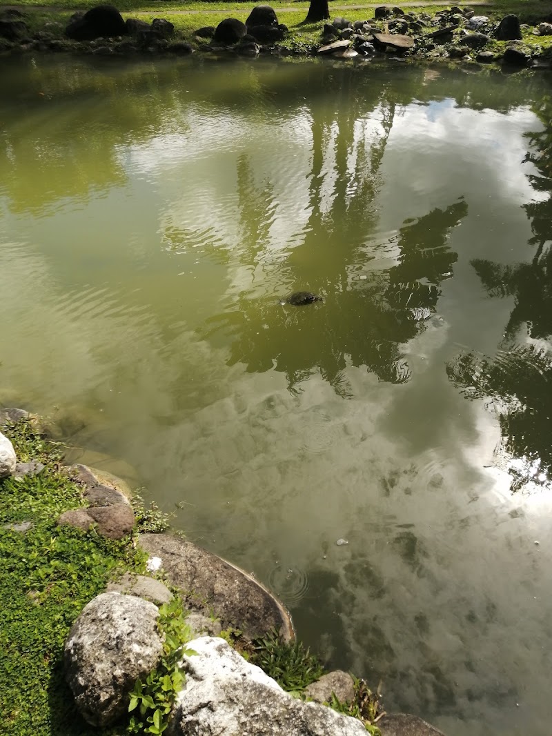 Photo 3 at Turtle River Park in Ocho Rios