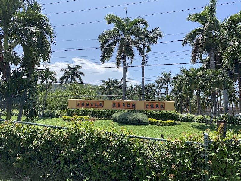 Photo 4 at Turtle River Park in Ocho Rios