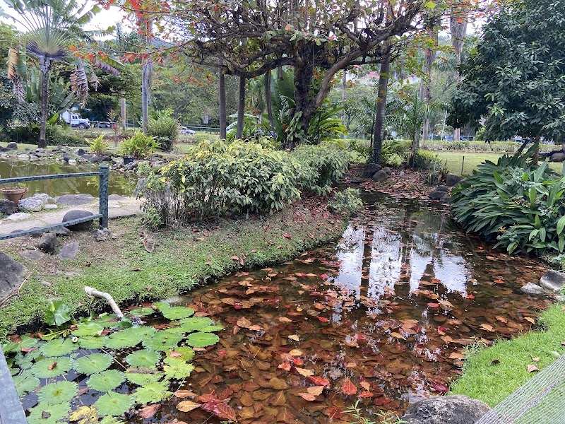 Photo 5 at Turtle River Park in Ocho Rios