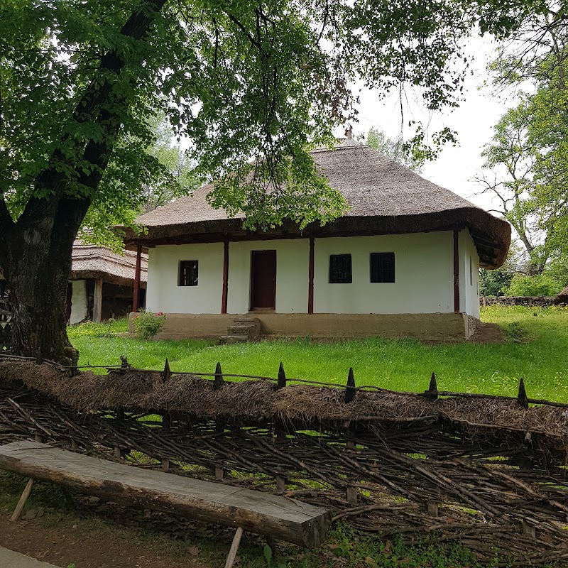 Photo 3 at "Dimitrie Gusti" National Village Museum in București