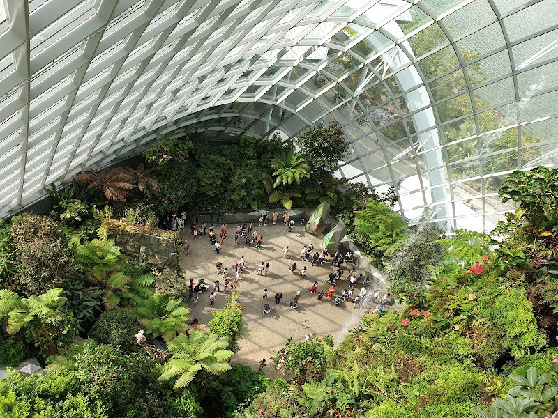 Photo 5 at Cloud Forest in Singapore
