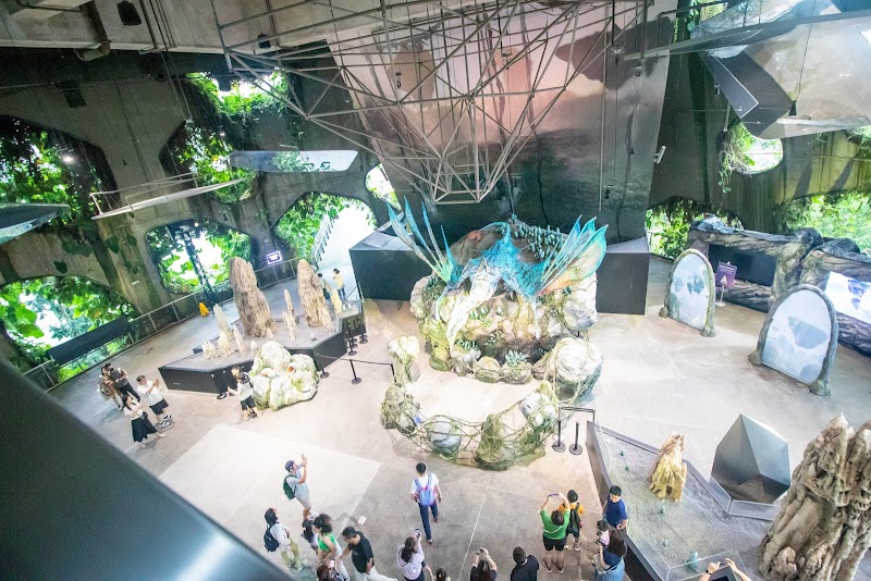 Photo 4 at Cloud Forest in Singapore