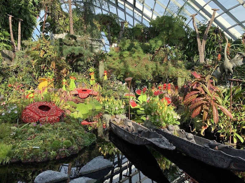 Cloud Forest in Singapore