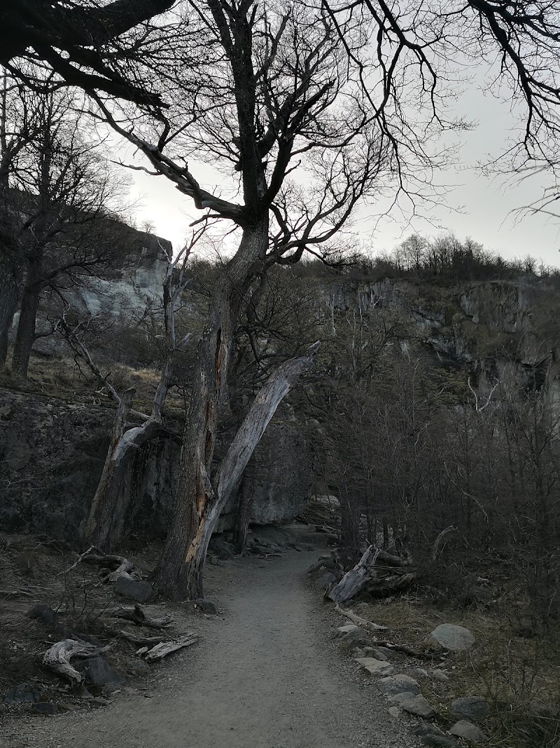 Photo 6 at Chorrillo del Salto in El Chalten