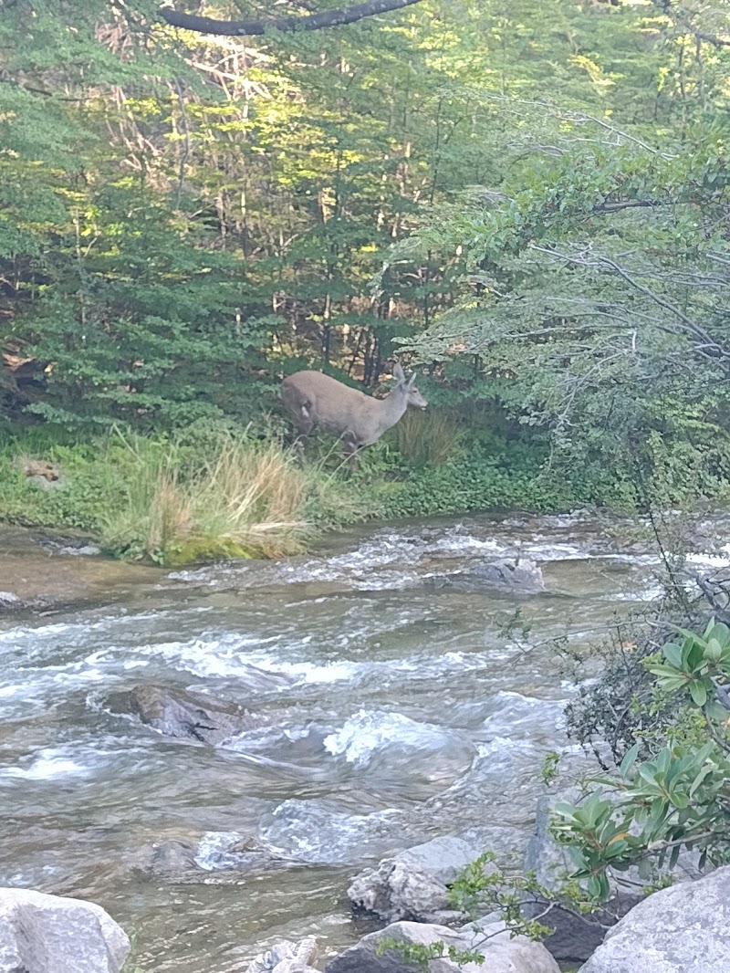 Photo 2 at Chorrillo del Salto in El Chalten