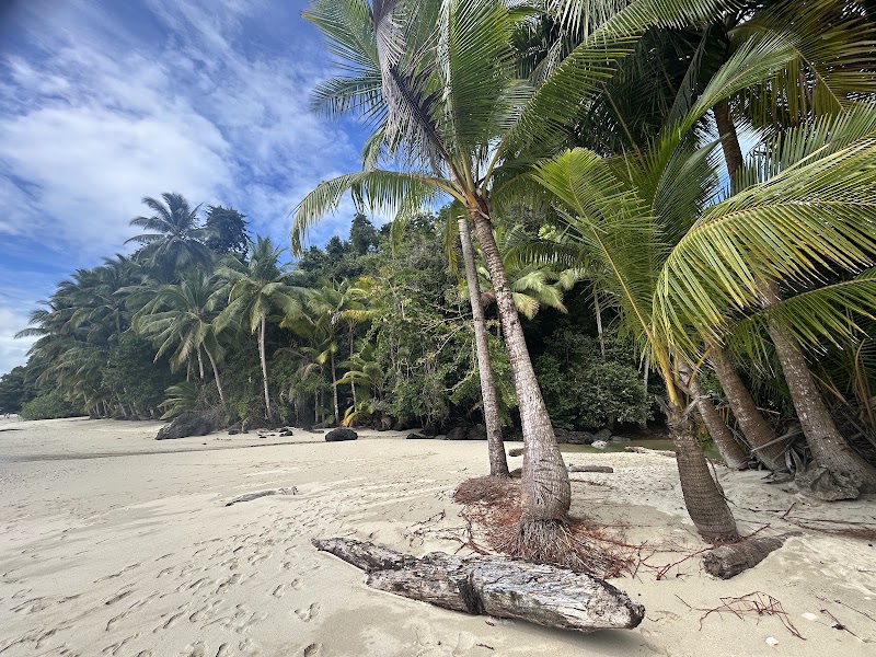 Photo 5 at Coiba National Park in El Trapiche