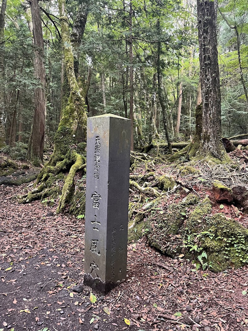 Photo 5 at Aokigahara Forest in Fujikawaguchiko