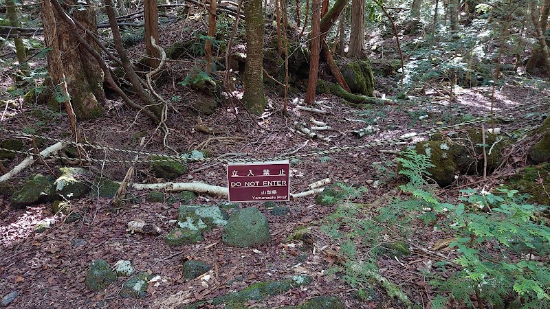 Photo 6 at Aokigahara Forest in Fujikawaguchiko