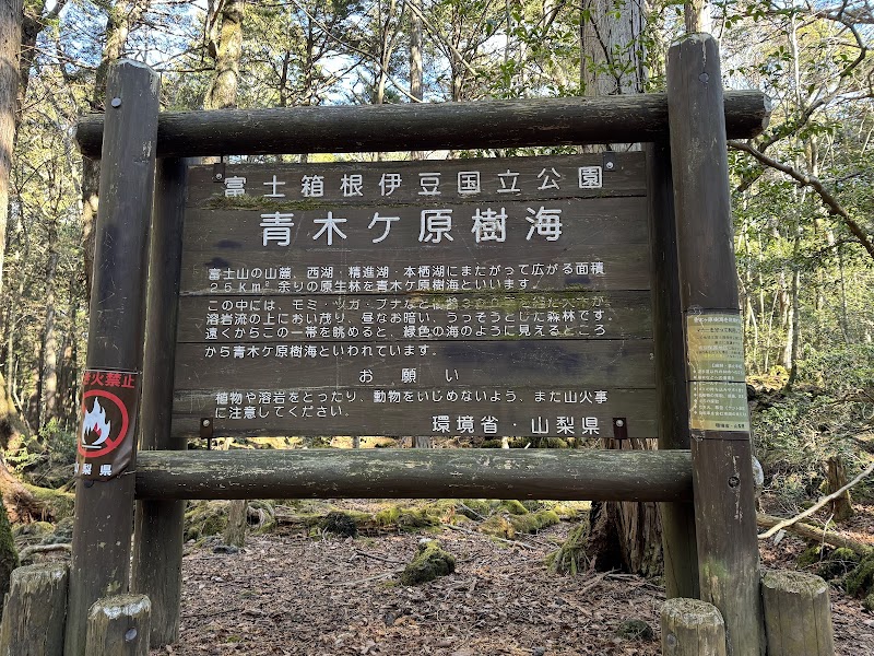 Photo 2 at Aokigahara Forest in Fujikawaguchiko