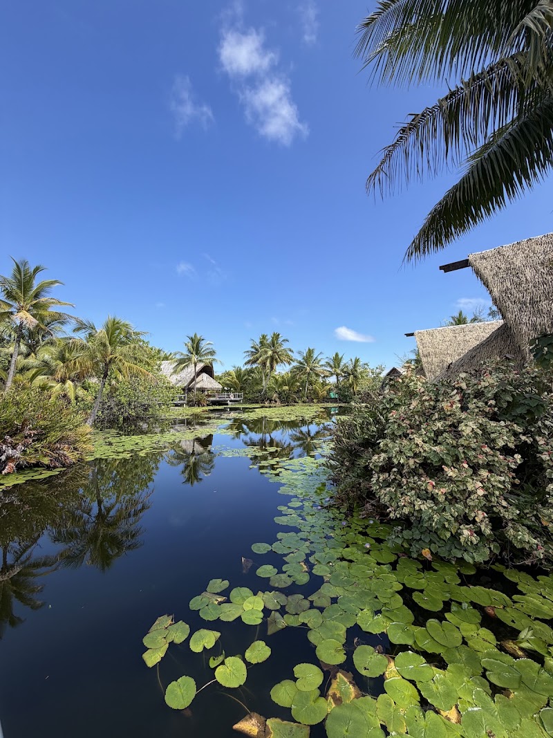 Photo 6 at Maitai Lapita Village Huahine in Huahine