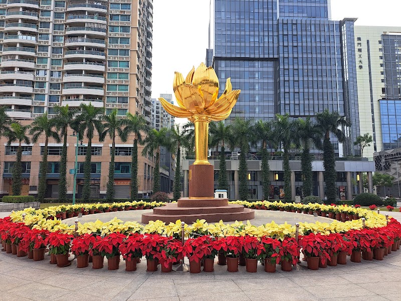 Photo 1 at Lotus Square in 