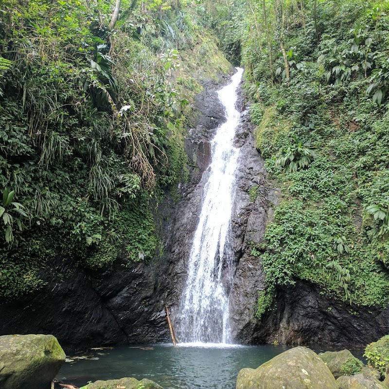 Photo 3 at Concord Falls in Morne Docteur