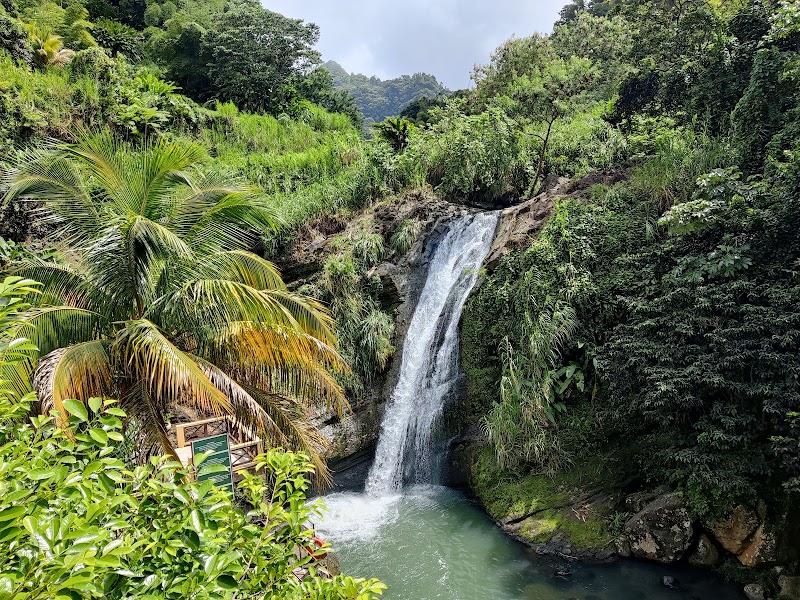 Concord Falls in Morne Docteur
