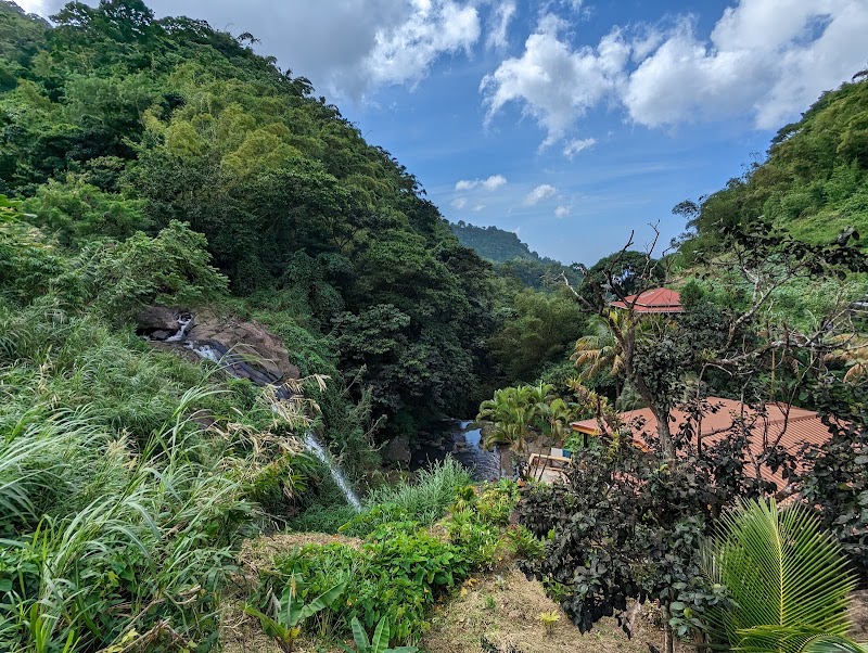 Photo 6 at Concord Falls in Morne Docteur