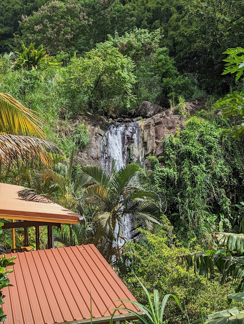 Photo 2 at Concord Falls in Morne Docteur