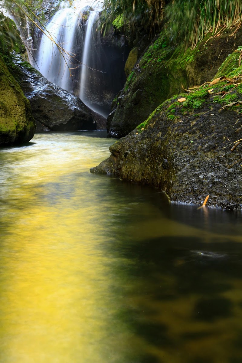 Photo 4 at Concord Falls in Morne Docteur