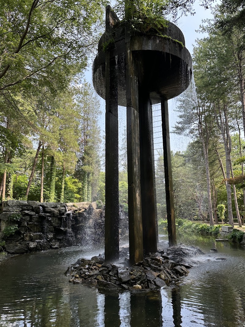 Photo 4 at Nami Island in Chuncheon