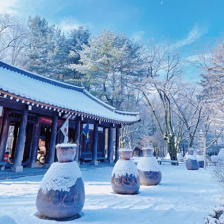 Photo 3 at Nami Island in Chuncheon