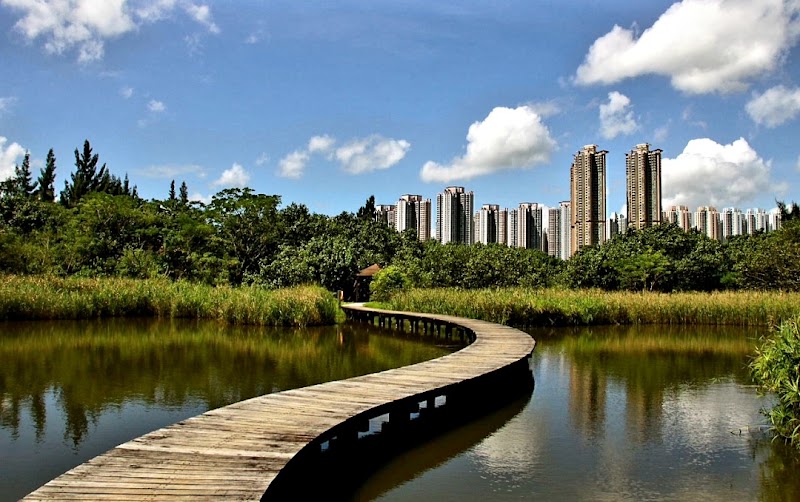 Photo 1 at Hong Kong Wetland Park in 