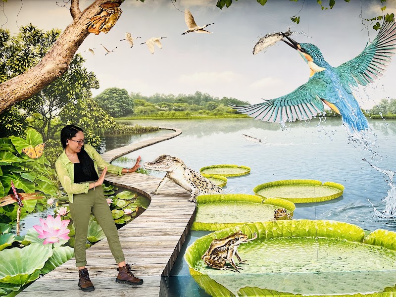 Photo 6 at Hong Kong Wetland Park in 