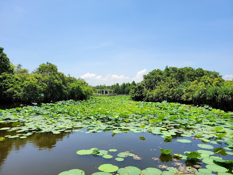 Photo 2 at Hong Kong Wetland Park in 