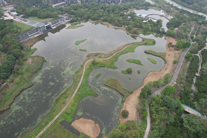 Photo 3 at Hong Kong Wetland Park in 
