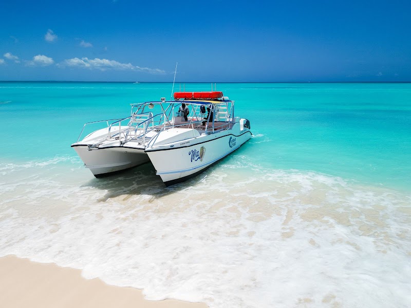 Photo 3 at Caribbean Cruisin ( TCI Ferry) in Leeward Settlement