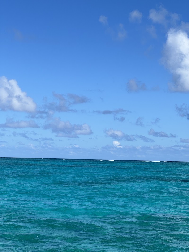Photo 4 at Caribbean Cruisin ( TCI Ferry) in Leeward Settlement