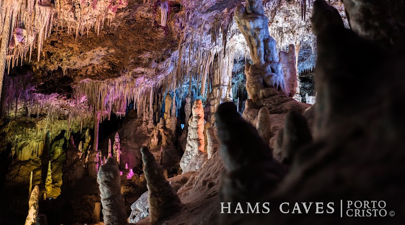 Hams' Caves in Porto Cristo