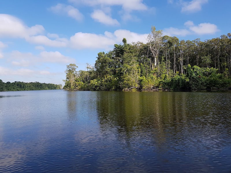 Photo 3 at Reserva de la Biósfera del Río Plátano in Okra Bank