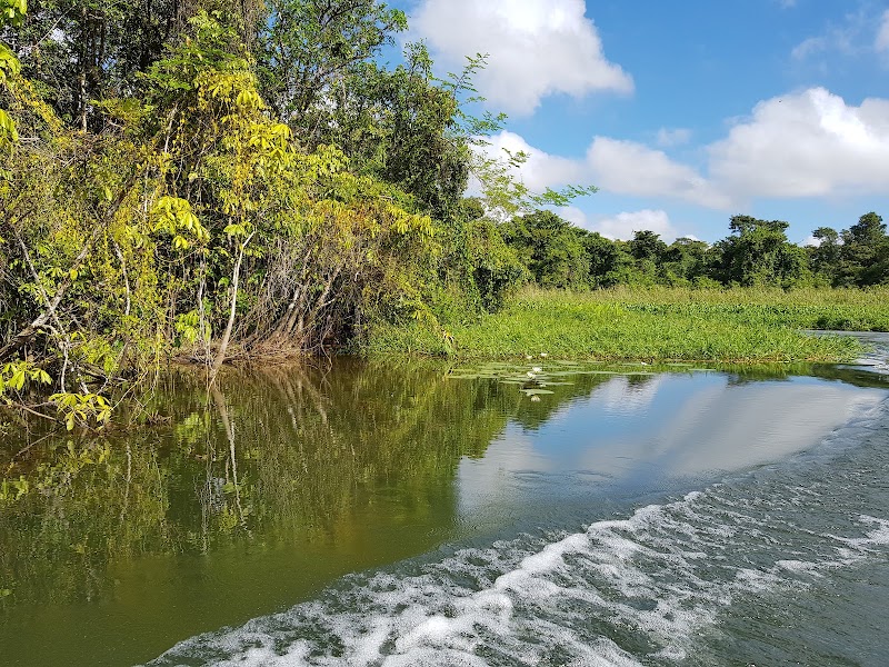 Photo 2 at Reserva de la Biósfera del Río Plátano in Okra Bank