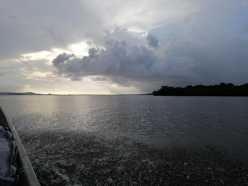 Photo 5 at Reserva de la Biósfera del Río Plátano in Okra Bank