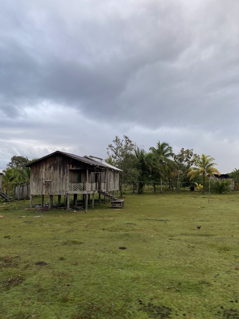 Photo 4 at Reserva de la Biósfera del Río Plátano in Okra Bank