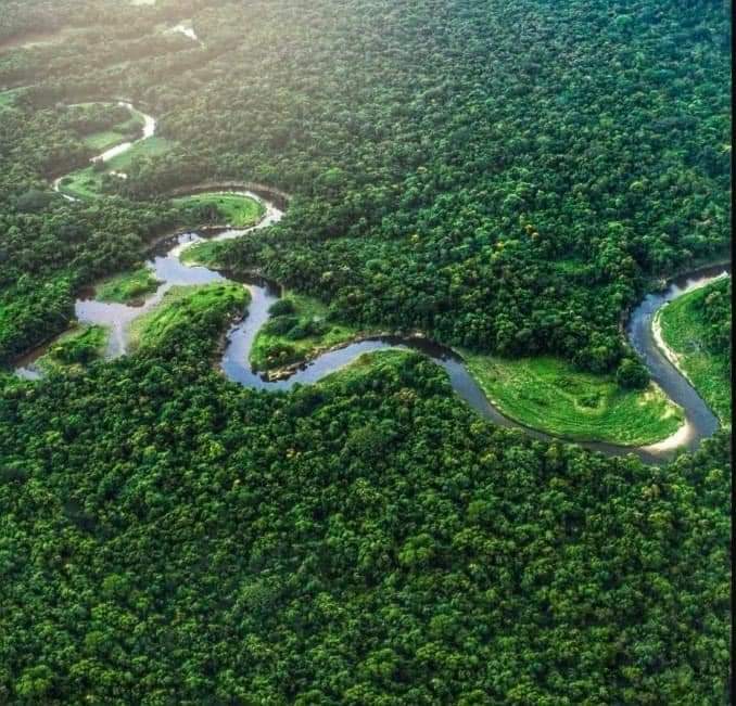 Reserva de la Biósfera del Río Plátano in Okra Bank