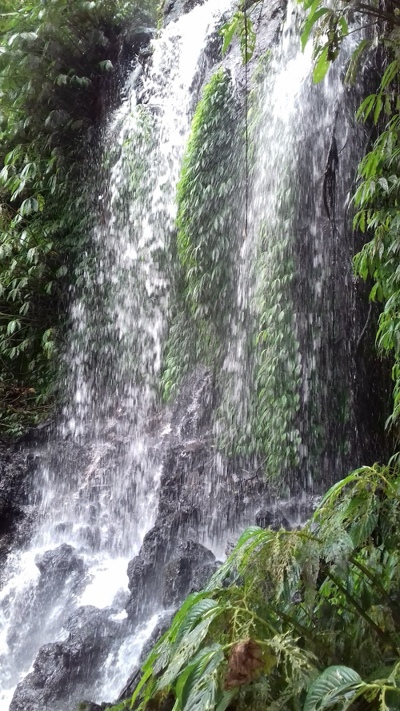 Photo 5 at Banyumala Waterfall in Sukasada