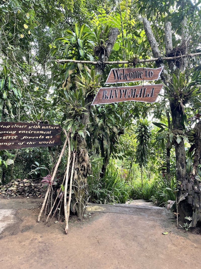 Photo 3 at Banyumala Waterfall in Sukasada