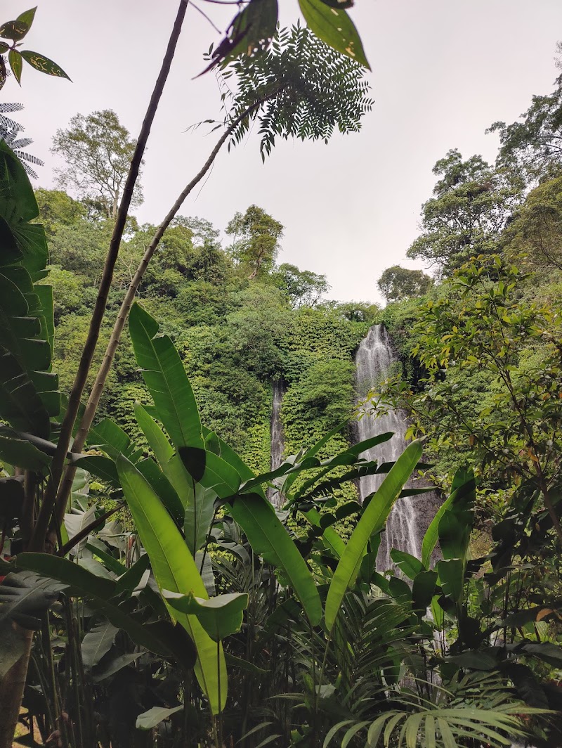 Photo 4 at Banyumala Waterfall in Sukasada