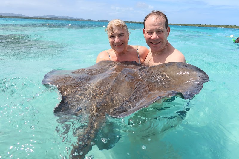 Photo 3 at Stingray City Antigua in Willikies