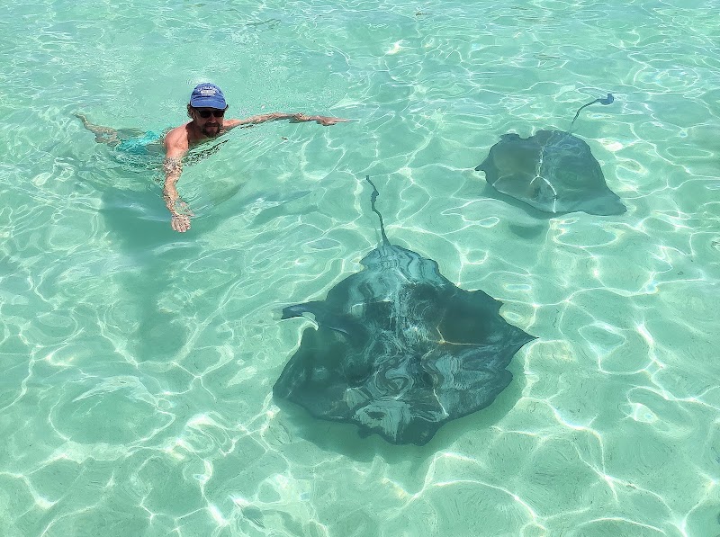 Photo 2 at Stingray City Antigua in Willikies