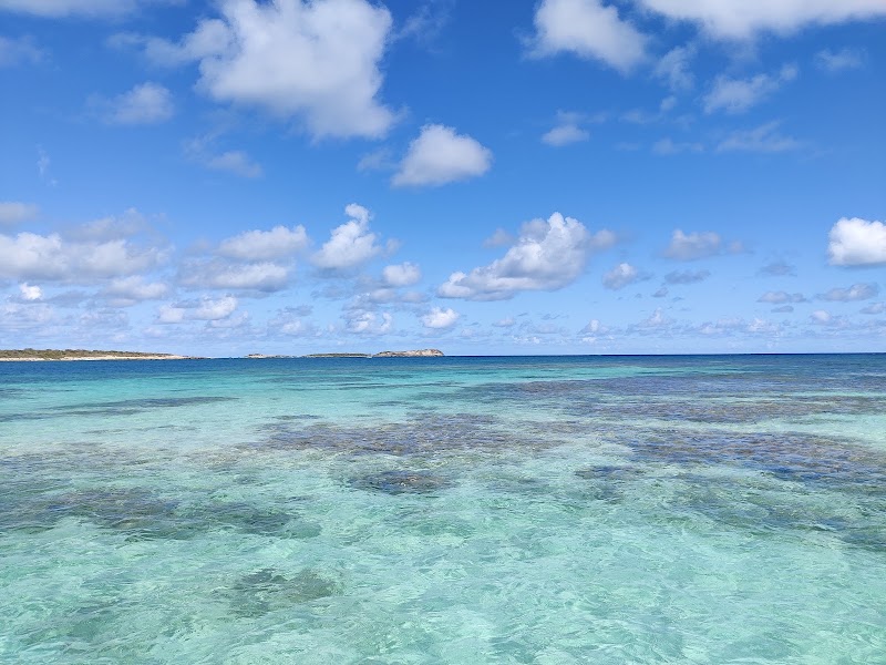 Photo 6 at Stingray City Antigua in Willikies