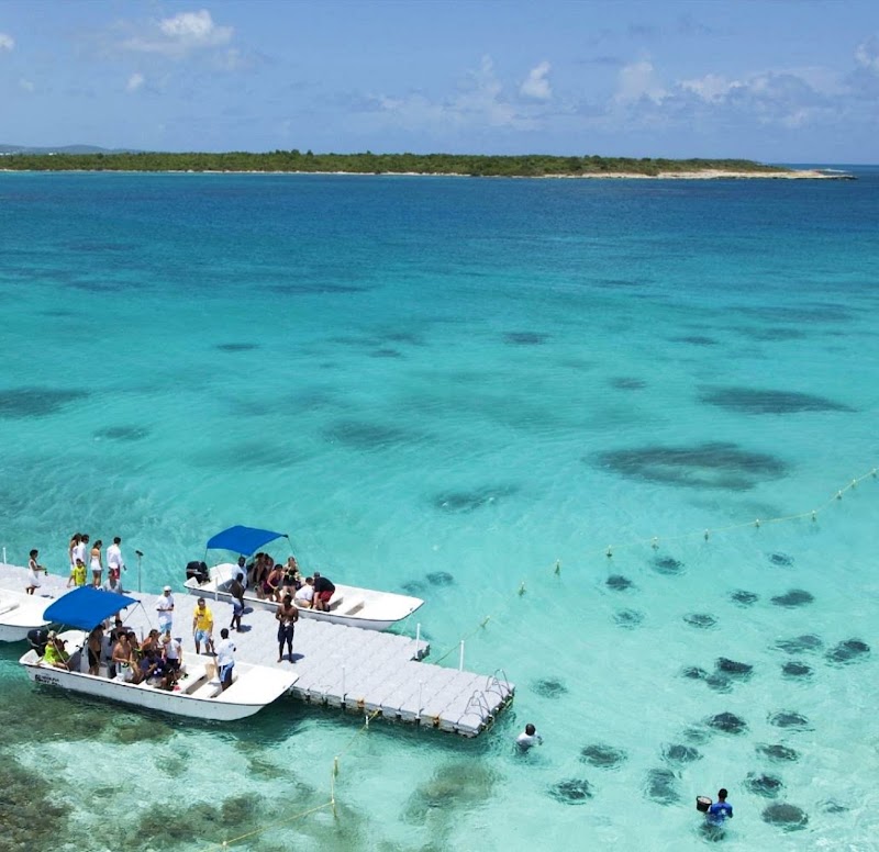 Stingray City Antigua in Willikies