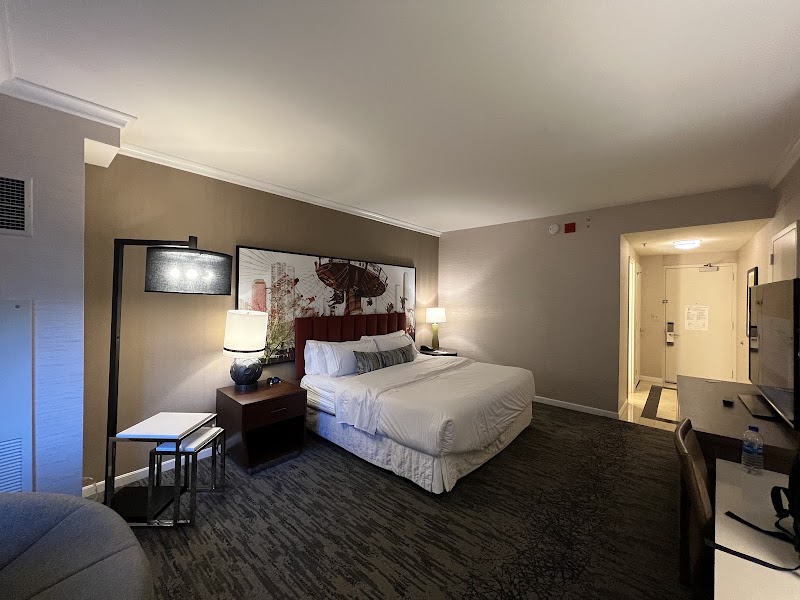 Photo 3 at The Westin Michigan Avenue Chicago in Chicago